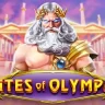 Gates of Olympus at msport
