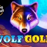 Wolf Gold at msport